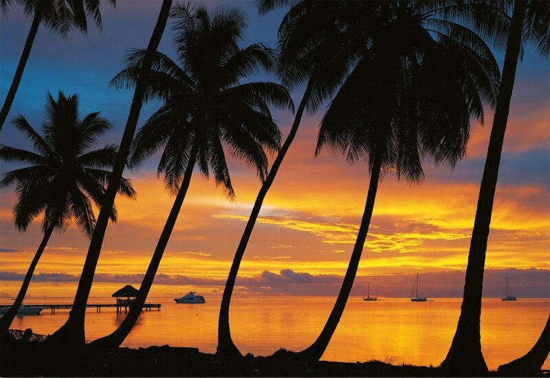 Silhouetted Palm Trees — Orange, Serene, Sunset, Photograph, Ocean, Boats