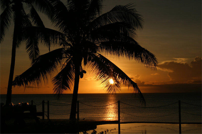 Silhouetted Palm Trees — Orange, Serene, Sunset, Photograph, Ocean, Fence