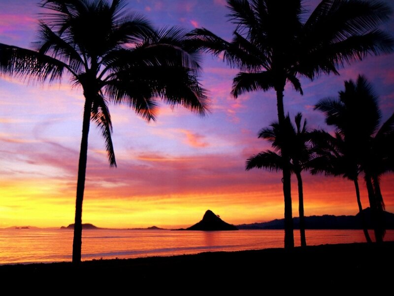 Silhouetted Palm Trees — Orange, Serene, Sunset, Photograph, Ocean, Island, Sky