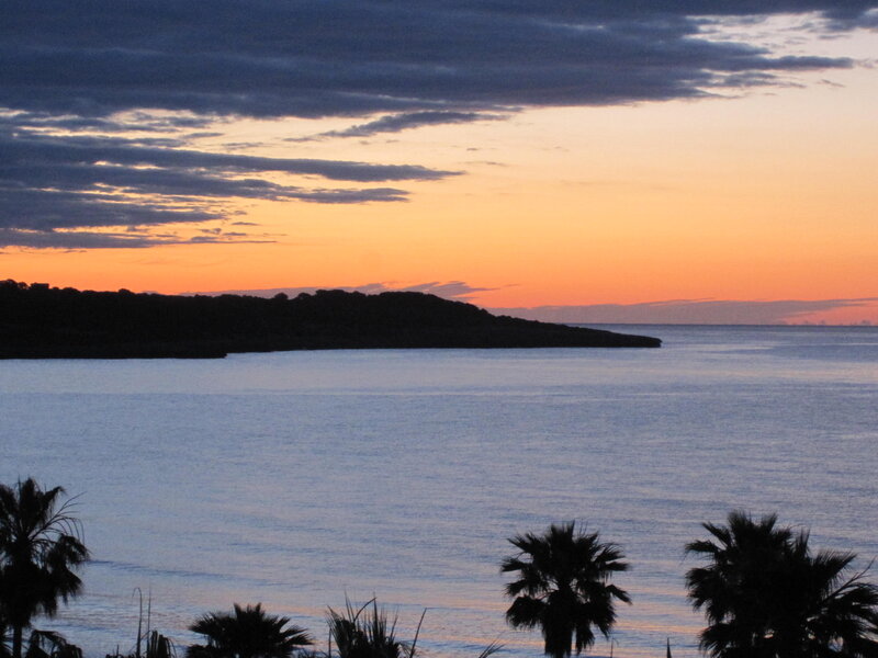 Silhouetted Palm Trees — Orange, Serene, Sunset, Photograph, Ocean, Island