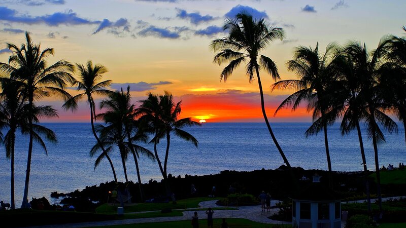 Silhouetted Palm Trees — Orange, Serene, Sunset, Photograph, Ocean, People