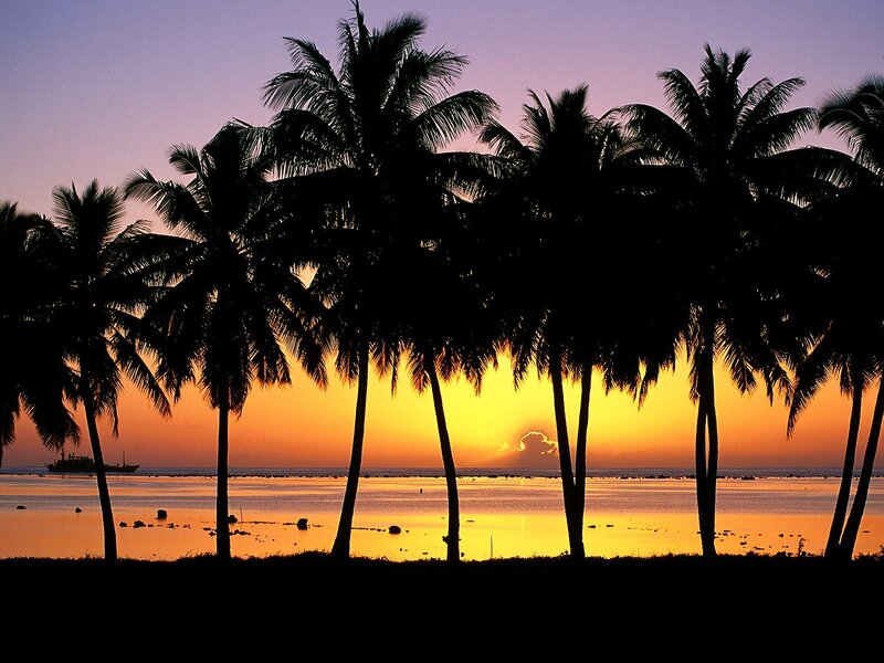 Silhouetted Palm Trees — Orange, Serene, Sunset, Photograph, Ocean, Ship, Yellow