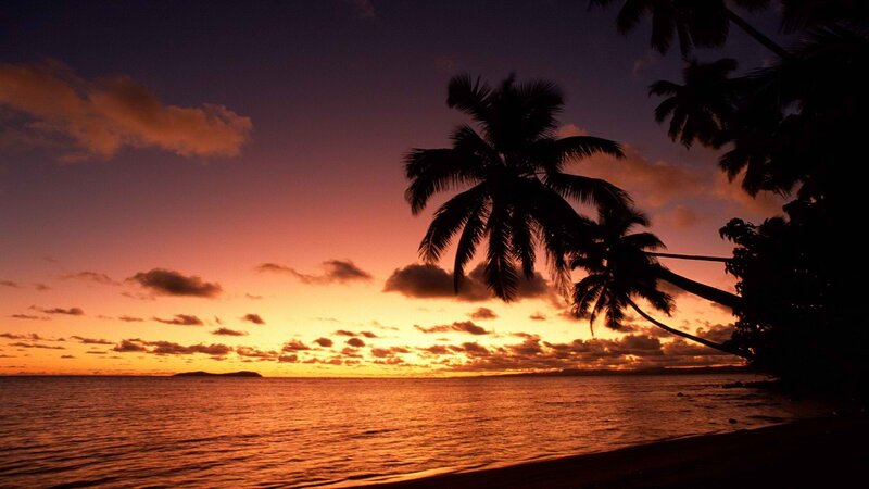 Silhouetted Palm Trees — Orange, Serene, Sunset, Photograph, Ocean, Sky, Clouds, Purple