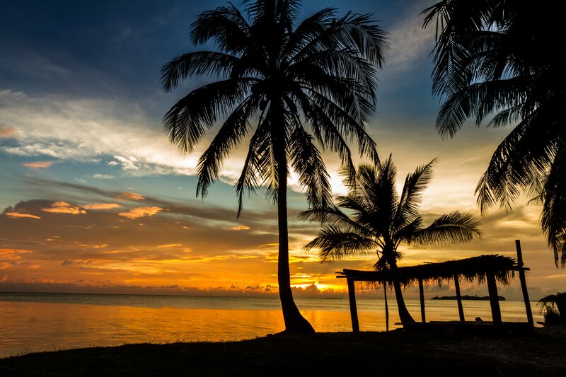 Silhouetted Palm Trees — Orange, Serene, Sunset, Photograph, Ocean, Sky, Thatched Hut