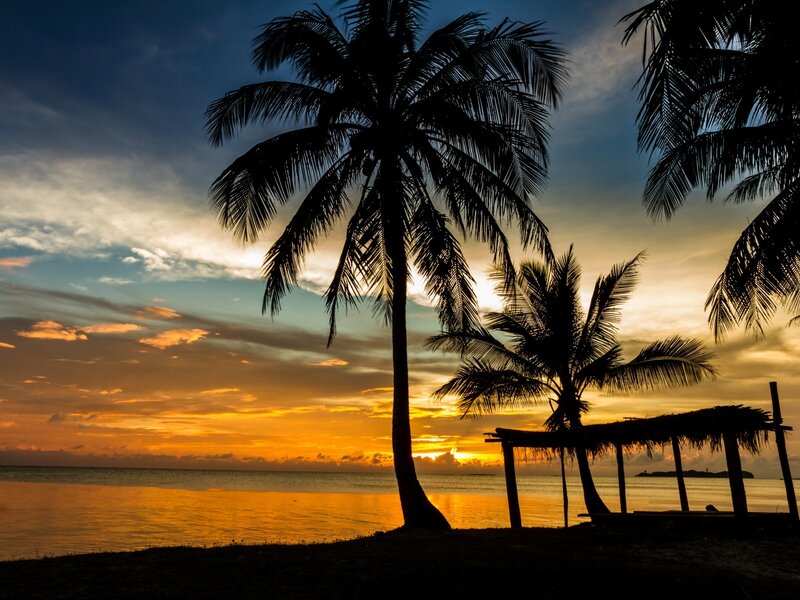 Silhouetted Palm Trees — Orange, Serene, Sunset, Photograph, Ocean, Sky, Thatched Shelter