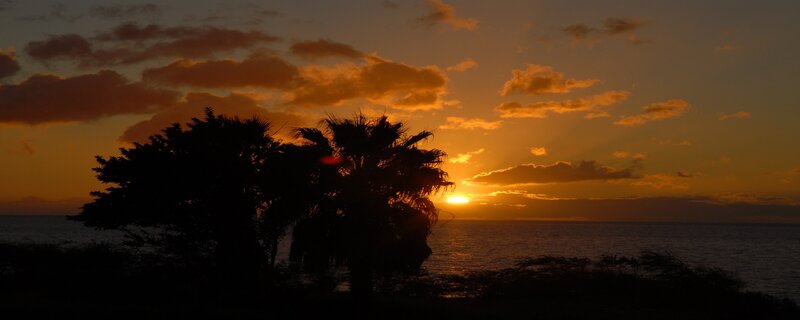 Silhouetted Palm Trees — Orange, Serene, Sunset, Photograph, Ocean, Sun, Clouds