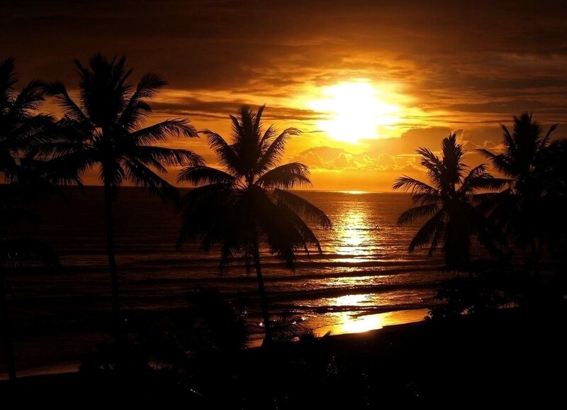 Silhouetted Palm Trees — Orange, Serene, Sunset, Photograph, Ocean, Sun, Sky, Black