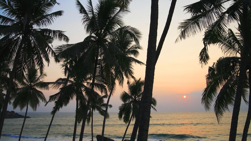 Silhouetted Palm Trees — Orange, Serene, Sunset, Photograph, Ocean, Sun, Sky, Blue