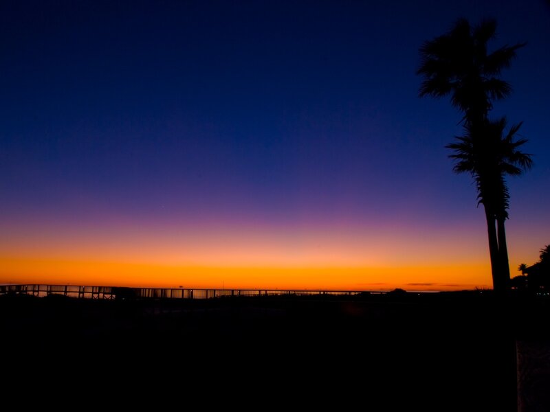 Silhouetted Palm Trees — Orange, Serene, Sunset, Photograph, Palm Trees, Boardwalk