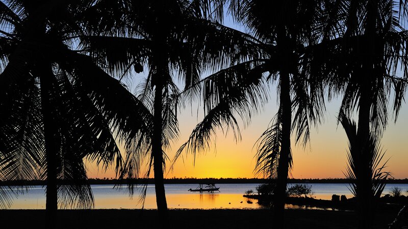 Silhouetted Palm Trees — Orange, Serene, Sunset, Photograph, Palm Trees, Boat