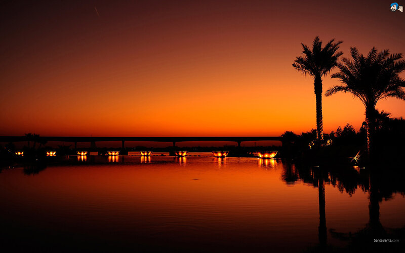 Silhouetted Palm Trees — Orange, Serene, Sunset, Photograph, Palm Trees, Bridge, Lights