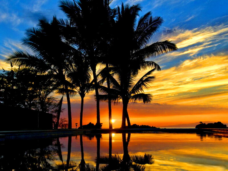 Silhouetted Palm Trees — Orange, Serene, Sunset, Photograph, Pool