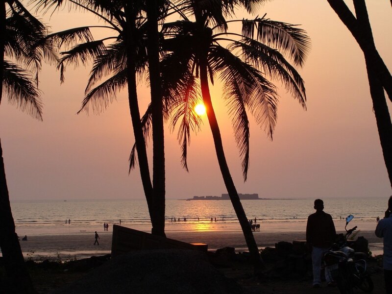 Silhouetted Palm Trees — Orange, Serene, Sunset, Photograph, Sun, Beach