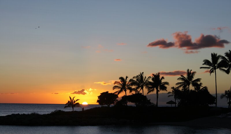 Silhouetted Palm Trees — Orange, Serene, Sunset, Photograph, Sun, Ocean, Clouds