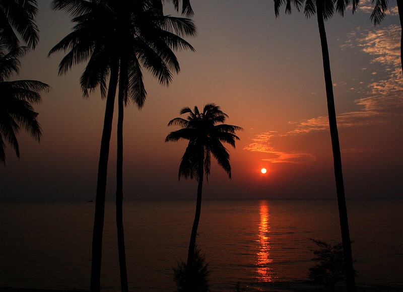 Silhouetted Palm Trees — Orange, Serene, Sunset, Photograph, Sun, Ocean, Sky, Black