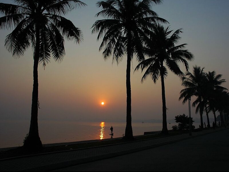 Silhouetted Palm Trees — Orange, Serene, Sunset, Photograph, Sun, Sea