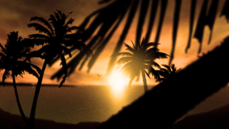 Silhouetted Palm Trees — Orange, Serene, Sunset