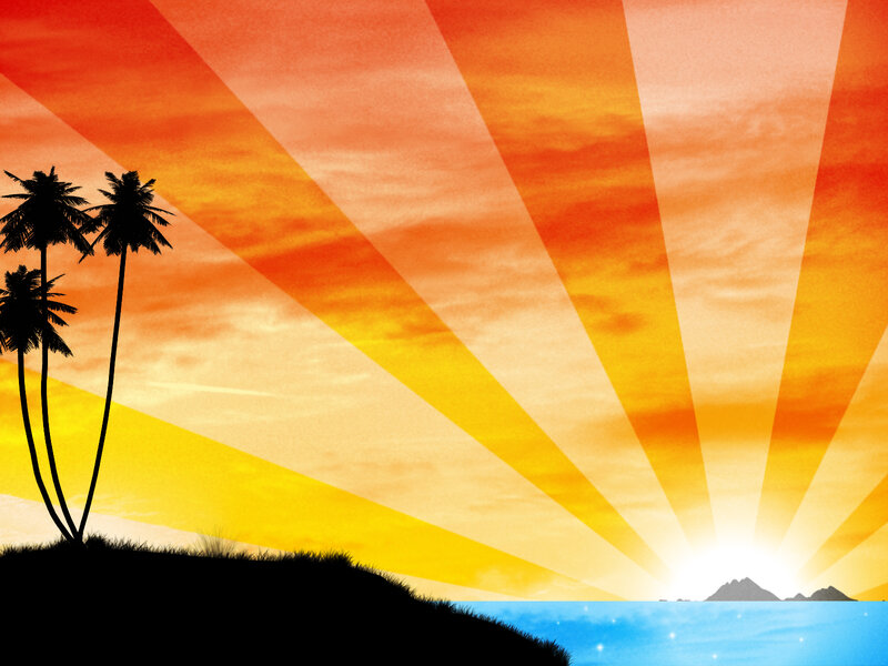 Silhouetted Palm Trees — Orange, Serene