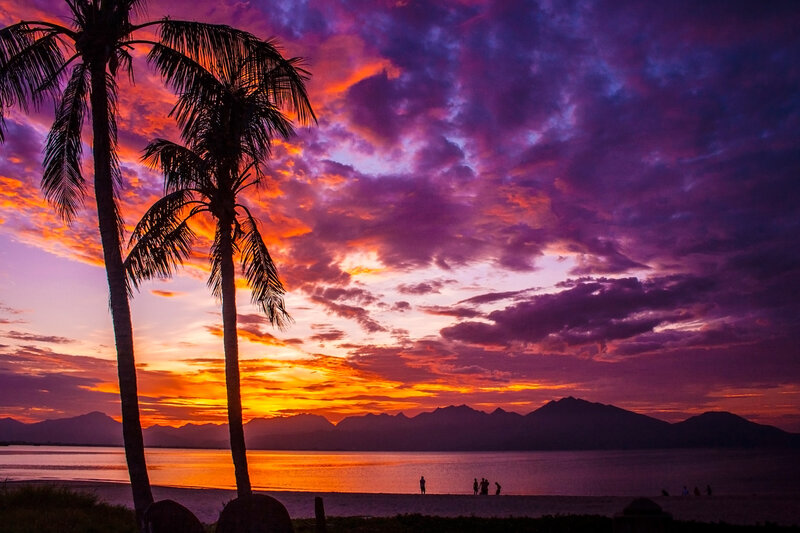Silhouetted Palm Trees — Purple, Dramatic, Sunset, Photograph, Mountains