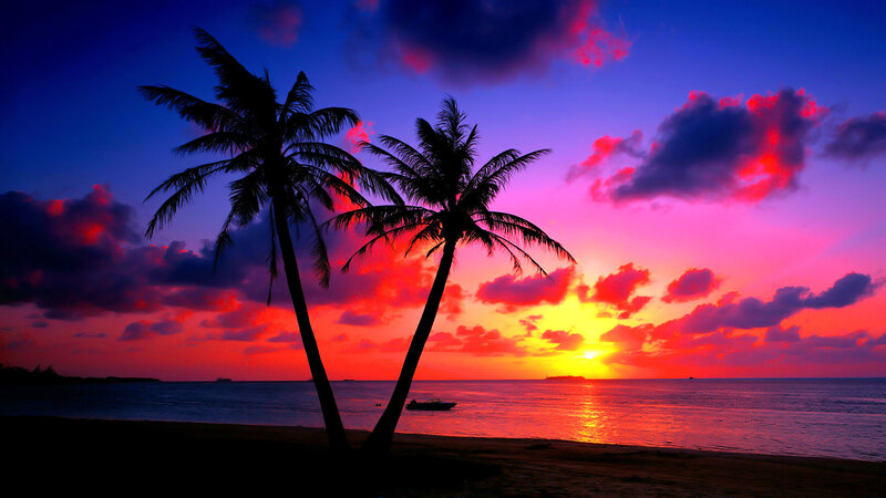 Silhouetted Palm Trees — Purple, Dramatic, Sunset, Photograph, Ocean, Boat