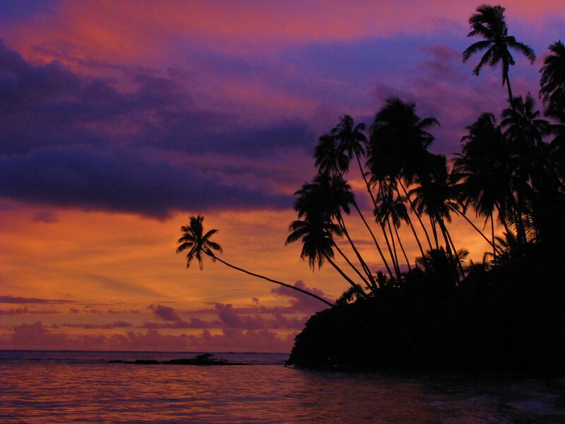 Silhouetted Palm Trees — Purple, Dramatic, Sunset, Photograph, Ocean, Sky
