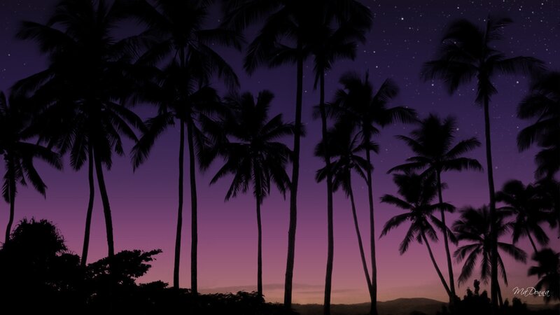 Silhouetted Palm Trees — Purple, Serene, Night