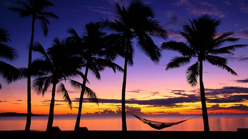 Silhouetted Palm Trees — Purple, Serene, Sunset, Photograph, Hammock, Ocean, Sky, Orange