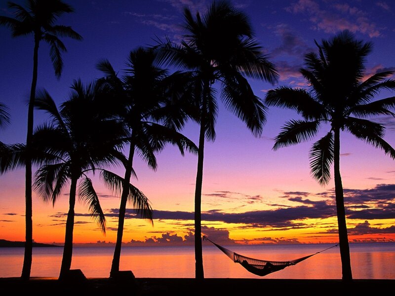 Silhouetted Palm Trees — Purple, Serene, Sunset, Photograph, Hammock