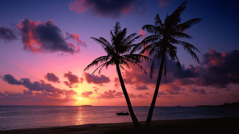 Silhouetted Palm Trees — Purple, Serene, Sunset, Photograph, Ocean, Boat