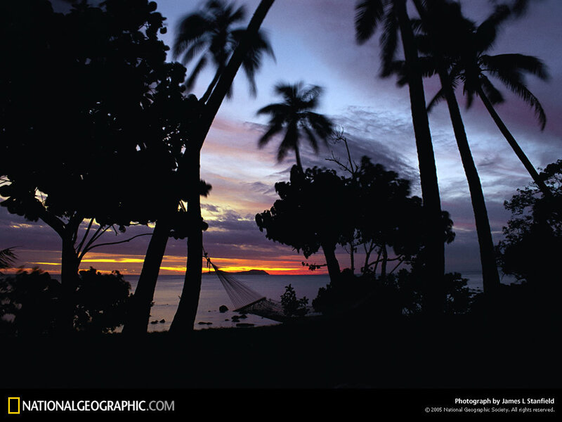 Silhouetted Palm Trees — Purple, Serene, Sunset, Photograph, Palm Trees, Hammock
