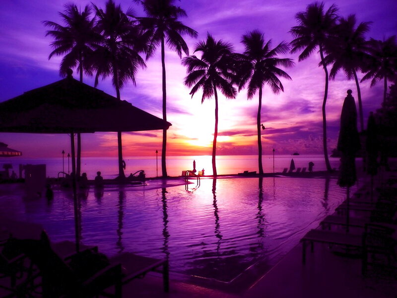 Silhouetted Palm Trees — Purple, Serene, Sunset, Photograph, Pool