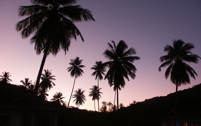 Silhouetted Palm Trees — Purple, Serene, Sunset, Photograph, Sky, Hills, Building