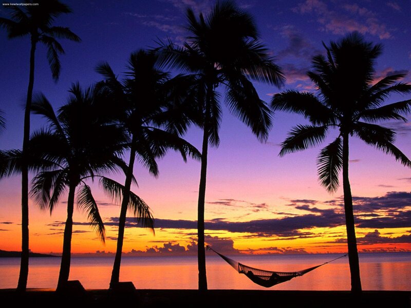 Silhouetted Palm Trees — Purple, Serene, Sunset