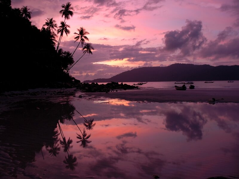 Silhouetted Palm Trees — Purple, Serene