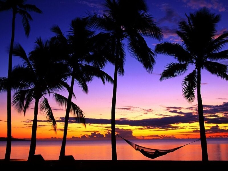 Silhouetted Palm Trees — Purple