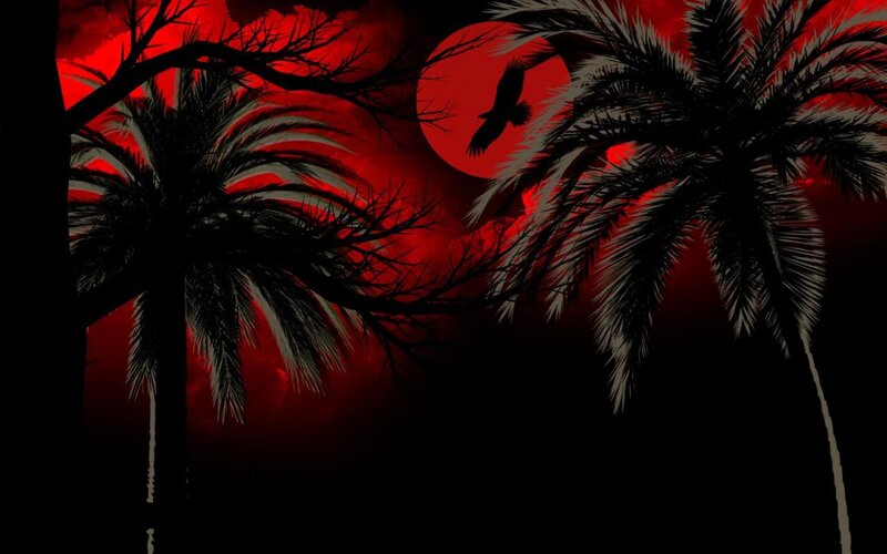 Silhouetted Palm Trees — Red, Dramatic, Night