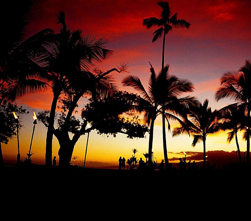 Silhouetted Palm Trees — Red, Dramatic, Sunset, Photograph, Palm Trees, Torches
