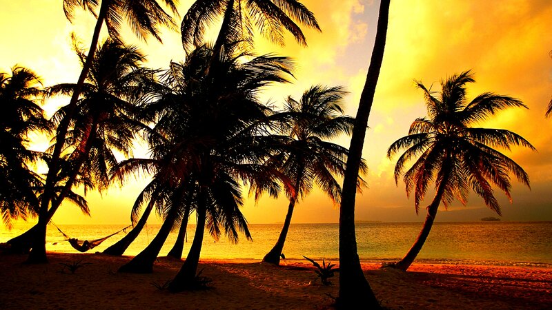 Silhouetted Palm Trees — Yellow, Serene, Sunset, Photograph, Beach