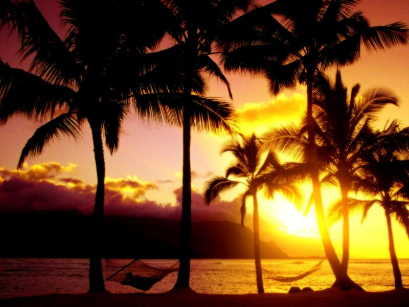 Silhouetted Palm Trees — Yellow, Serene, Sunset, Photograph, Hammock