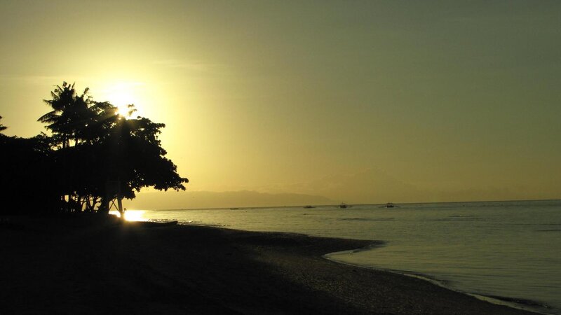 Silhouetted Palm Trees — Yellow, Serene, Sunset, Photograph, Sun