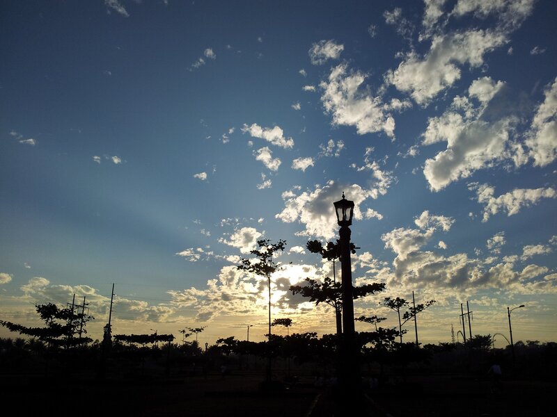 Silhouetted park at sunset