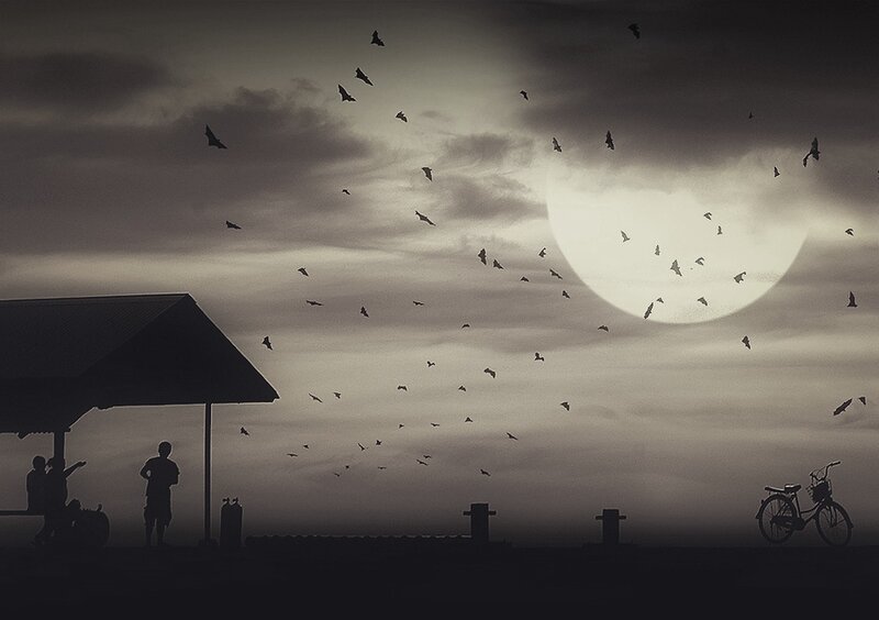 Silhouetted People and Birds