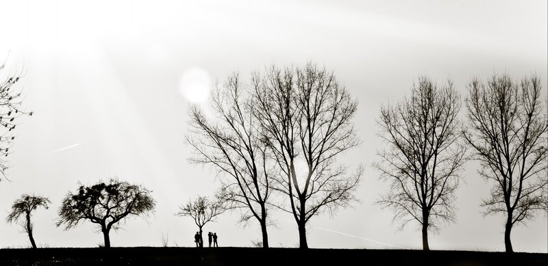 Silhouetted People and Trees — Black