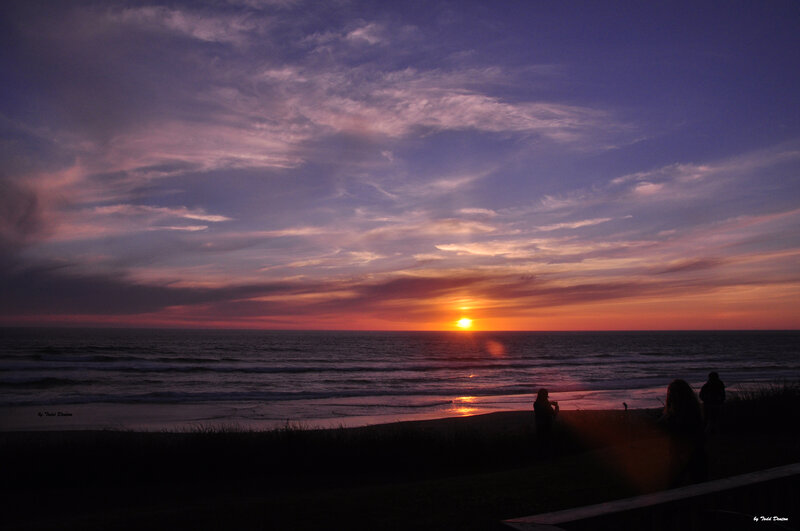 Silhouetted People at Beach — Purple