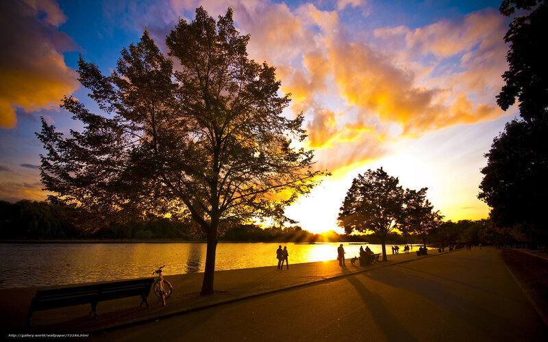 Silhouetted People at Sunset — Orange, Serene, Photograph