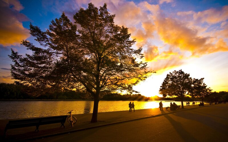 Silhouetted People at Sunset — Orange, Serene, Photograph, Tree