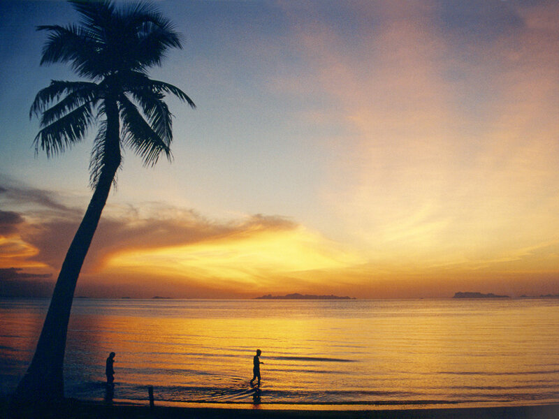 Silhouetted People on Beach — Orange, Serene, Sunset, Photograph, Palm Tree, Ocean