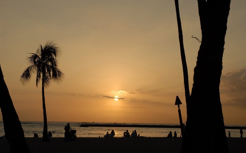 Silhouetted People on Beach — Orange, Serene, Sunset, Photograph, Palm Tree