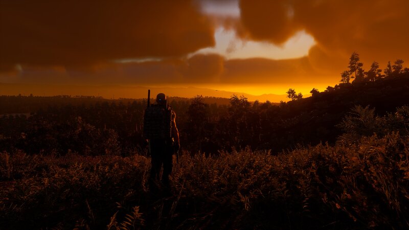 Silhouetted Person in Field
