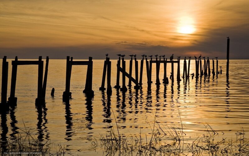 Silhouetted Pier at Sunset — Gold